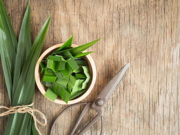 Local Pandan Leaves 班丹叶